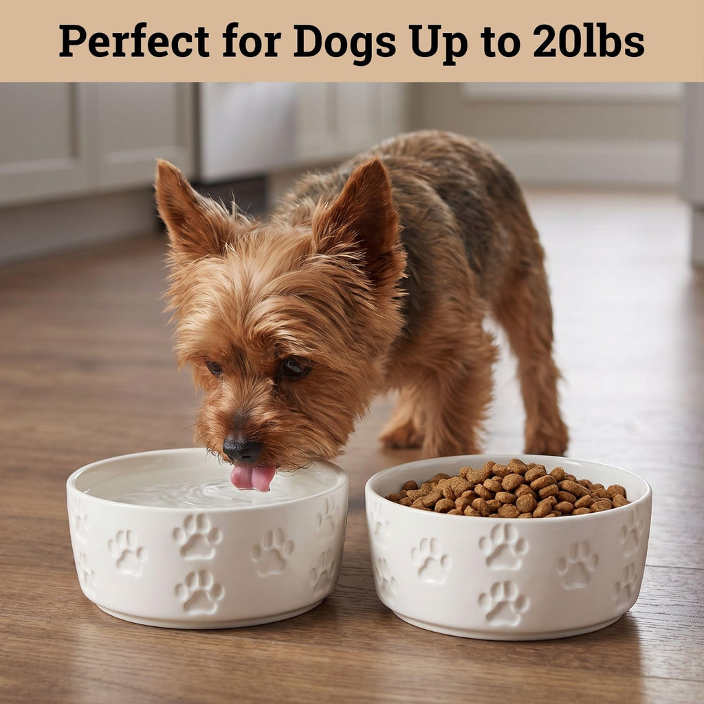Ceramic Dog Bowl Set of 2 with Anti-Skid Base, 5.5"W x 2"H, 2 Cup Capacity