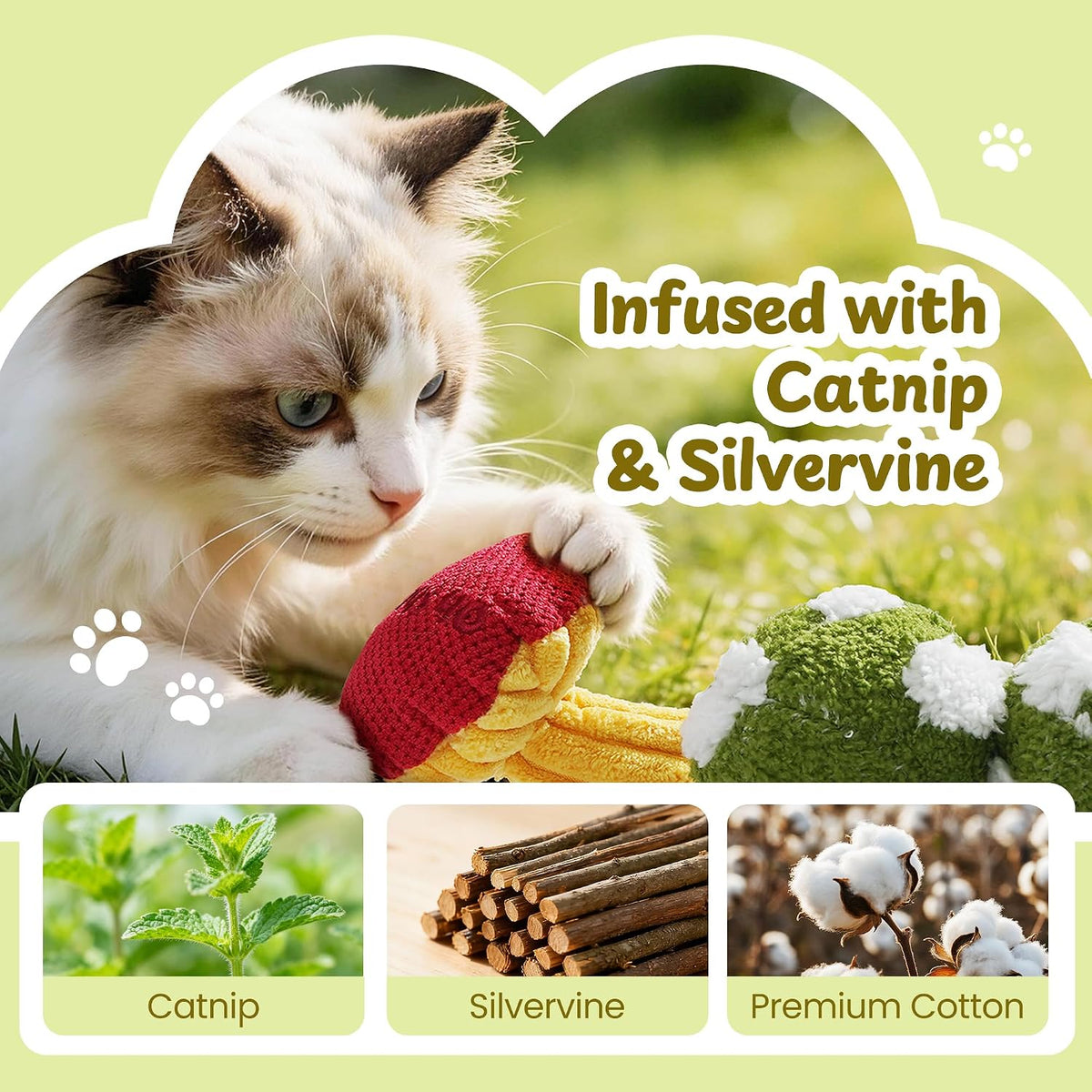 5 Pack Catnip Toys, Cat Toys with Catnip & Silvervine, Colorful Mushroom Kitten Teething & Cat Chew Toys with Different 