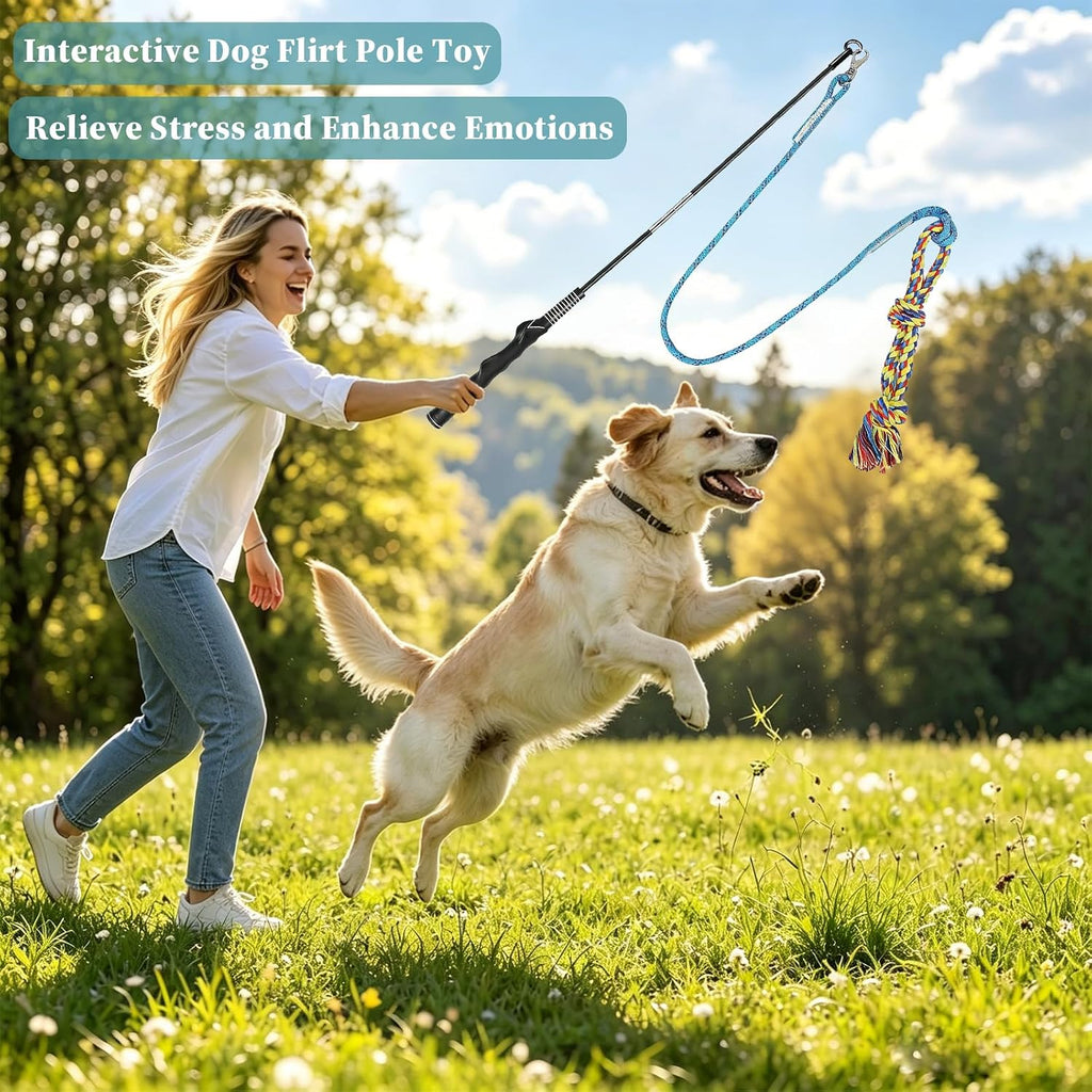 Flirt Pole for Dogs, Interactive Pole for Small Medium Large Dogs
