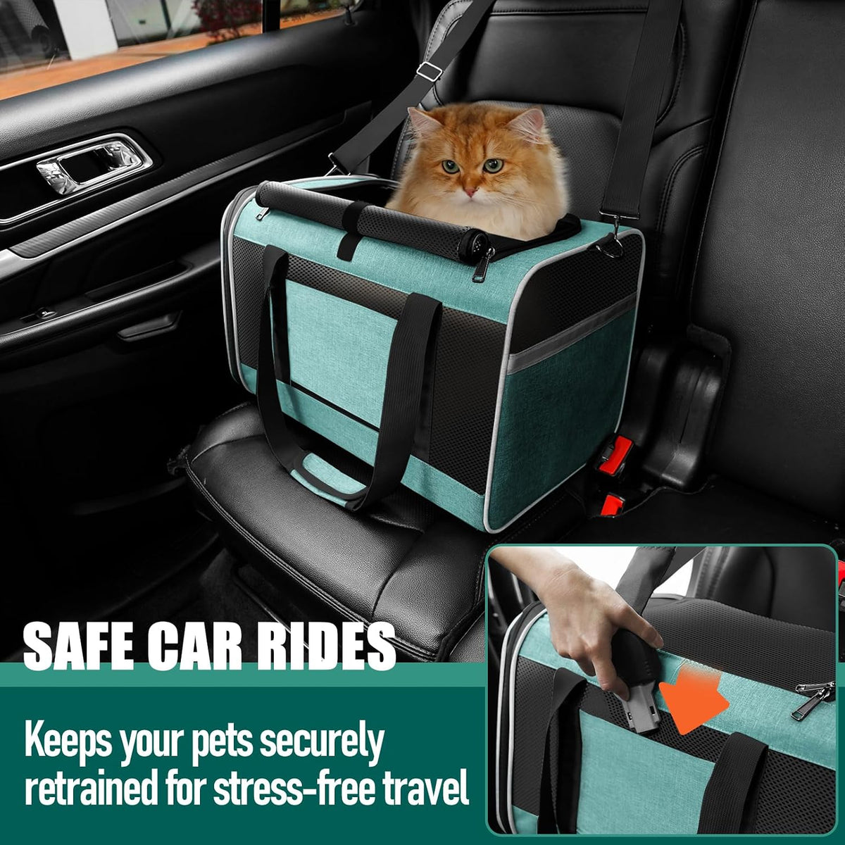 Large Cat Carrier Soft, Collapsible Travel Pet Carry Bag, Small Dogs