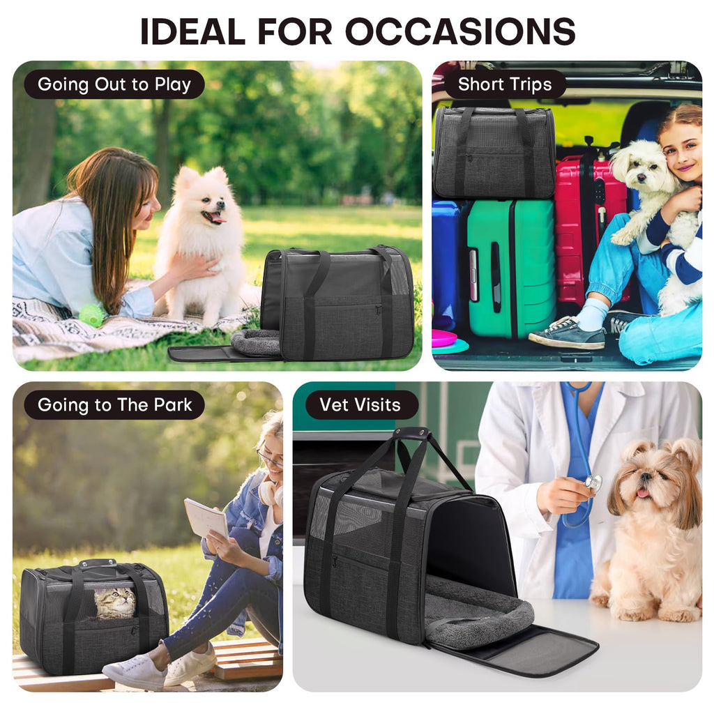 JUNGYOUN Premium Cat Carrier - Pet Carrier for Cat & Small Dogs up to 15lbs - Airline Approved Travel Dog Carrier with Anti-Escape Zippers, Collapsible Travel Bowl & Padded Strap