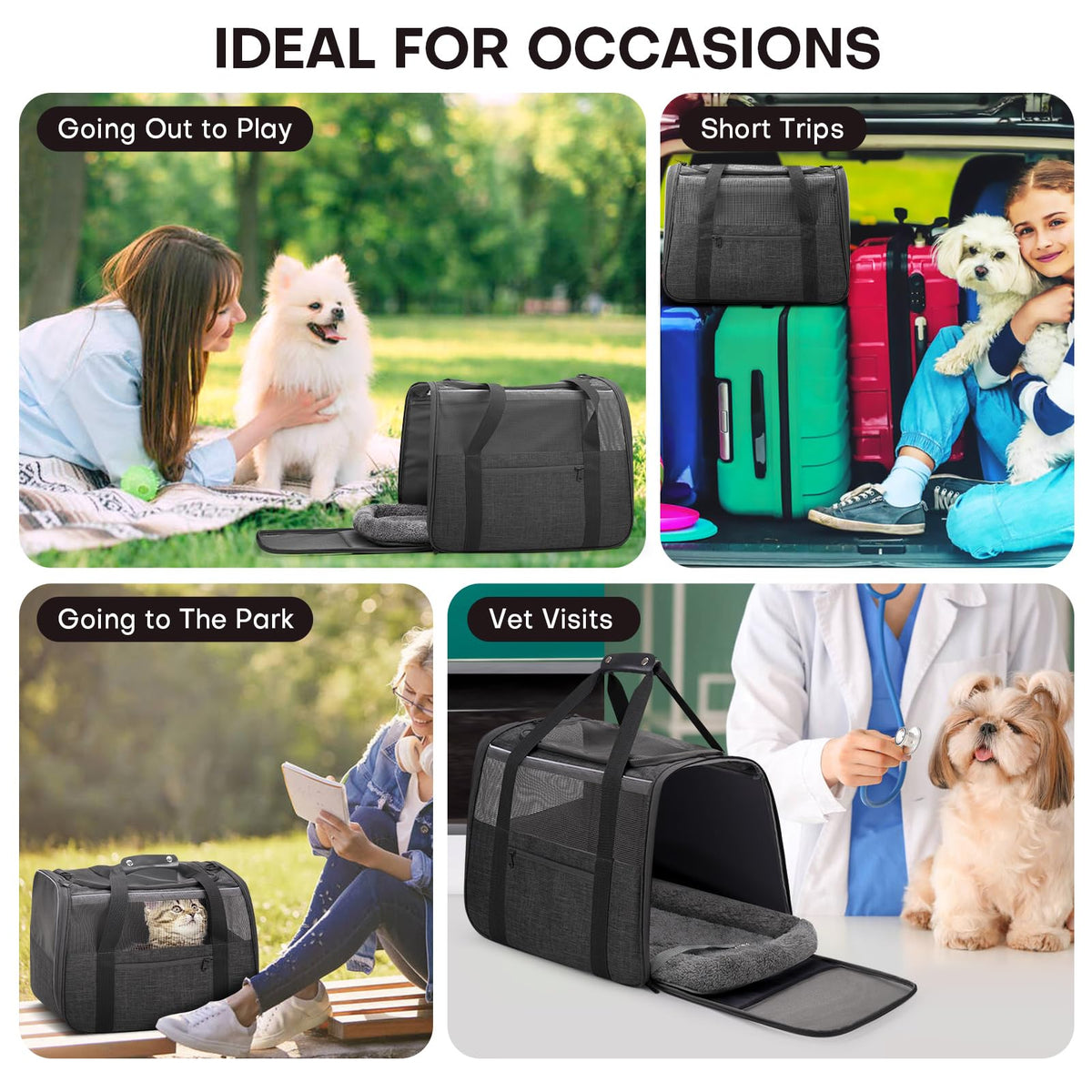 JUNGYOUN Premium Cat Carrier - Pet Carrier for Cat & Small Dogs up to 15lbs - Airline Approved Travel Dog Carrier with Anti-Escape Zippers, Collapsible Travel Bowl & Padded Strap
