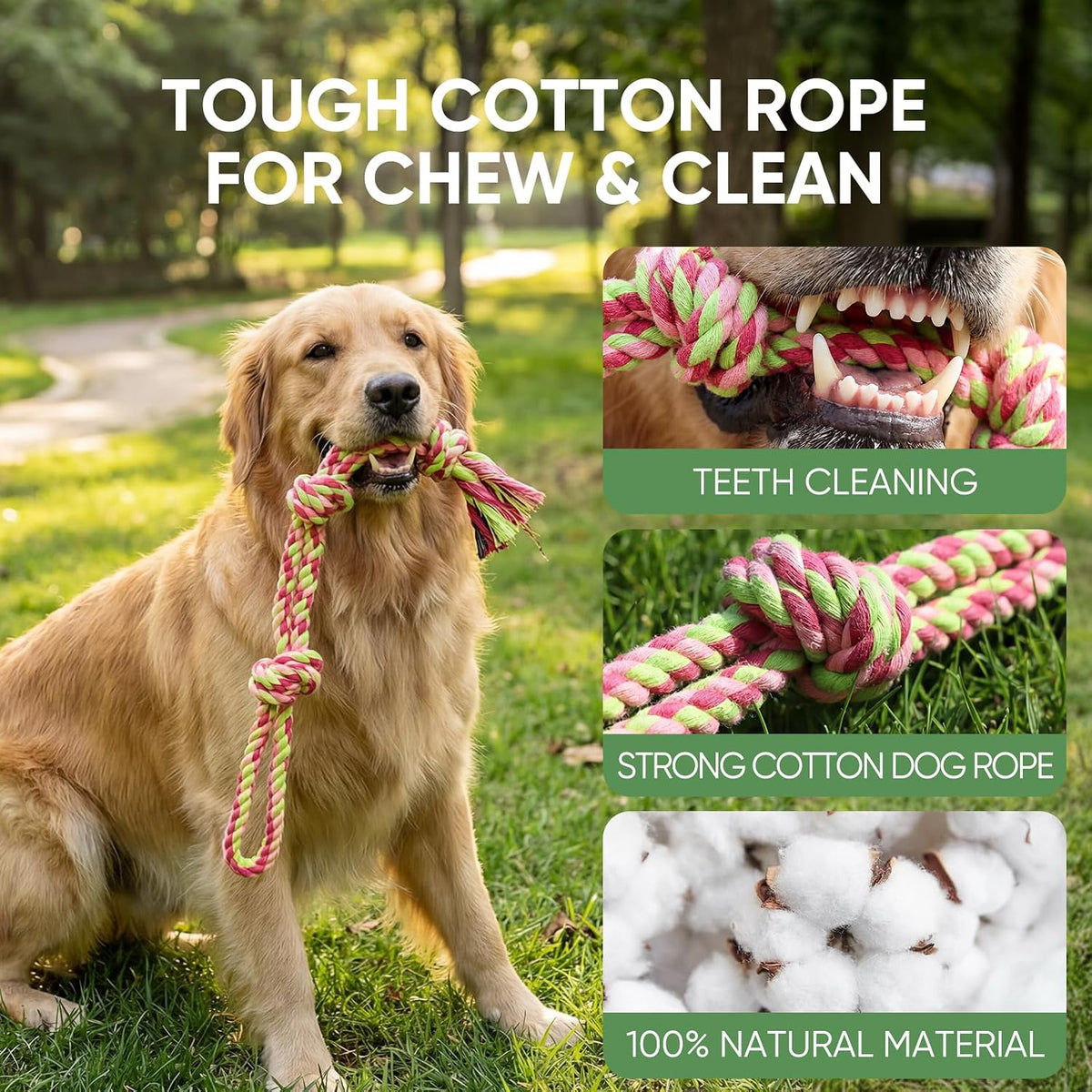 Dog Rope Toys,10 Pack Cotton Chew Tug Toys for Small Medium Dogs