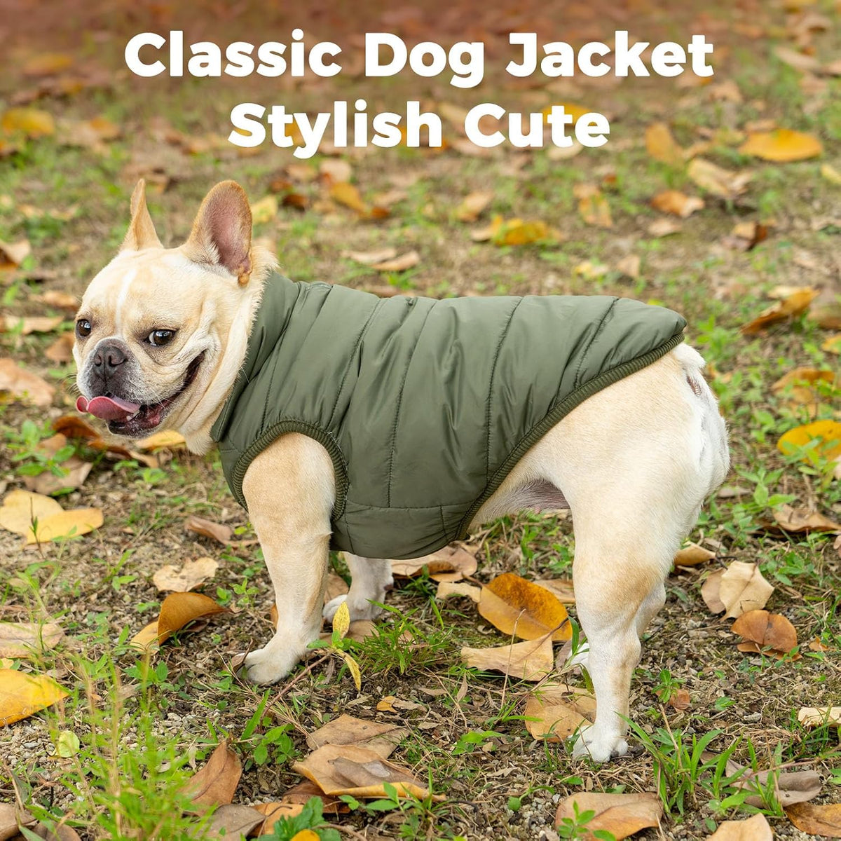 Fleece Lined Dog Jacket for Small Dogs,Winter Dog Coat,Green S
