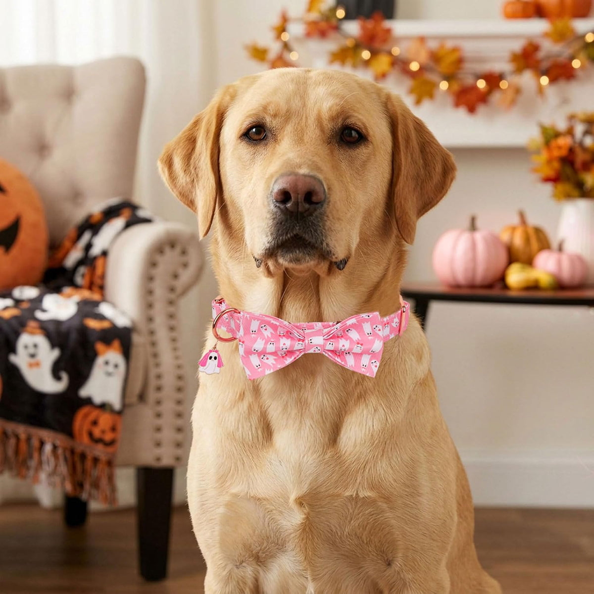 Pink Halloween Dog Collar Girl, Ghost Bow Dog Bow Tie Collar L