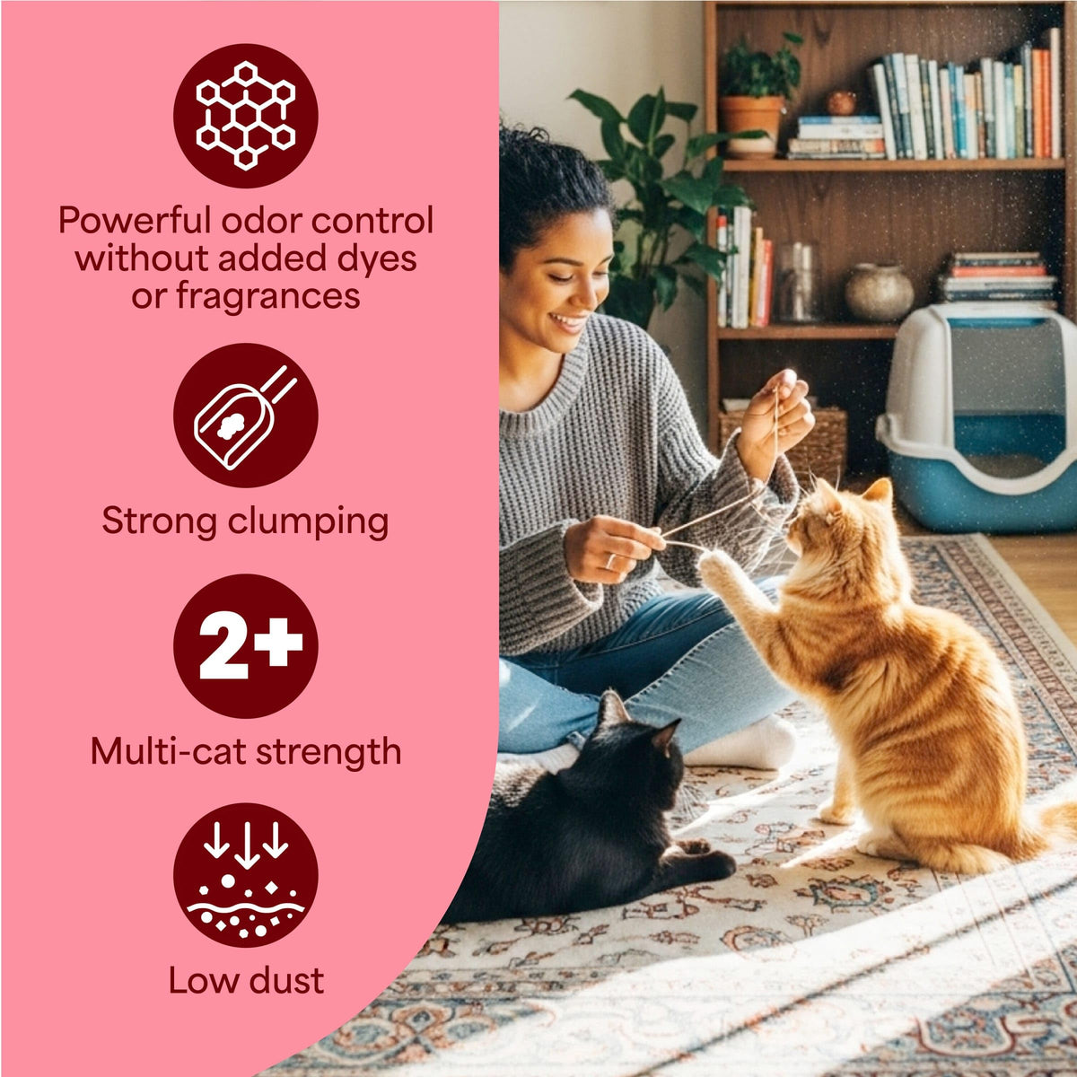 Fresh Step Advanced Simply Unscented Multi Cat Clumping Cat Litter, 18.5 lb