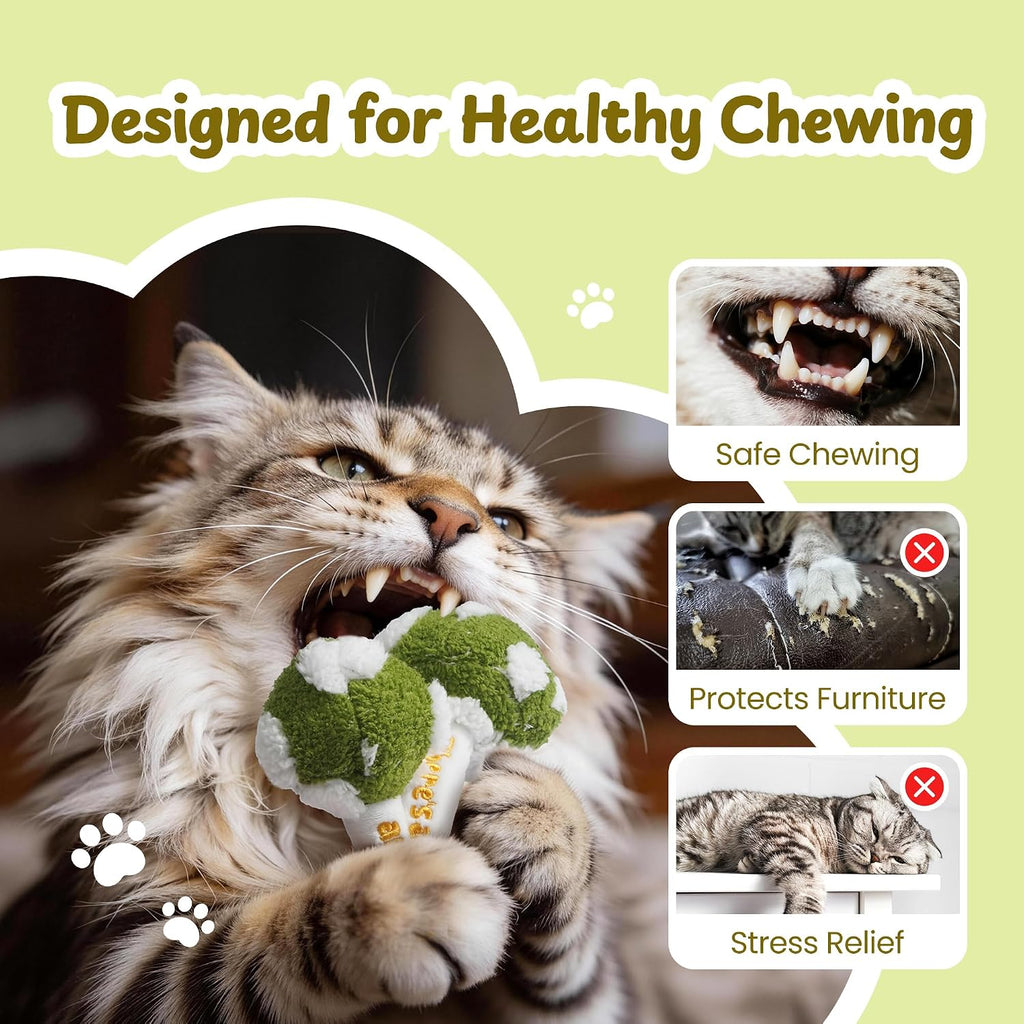 5 Pack Catnip Toys, Cat Toys with Catnip & Silvervine, Colorful Mushroom Kitten Teething & Cat Chew Toys with Different 
