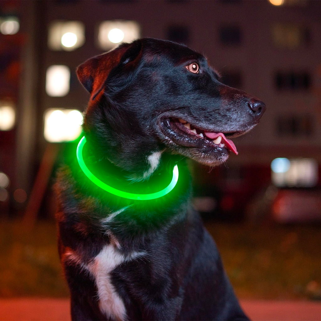 Led Dog Collar, BSEEN USB Rechargeable Flash Light up Dog Collar