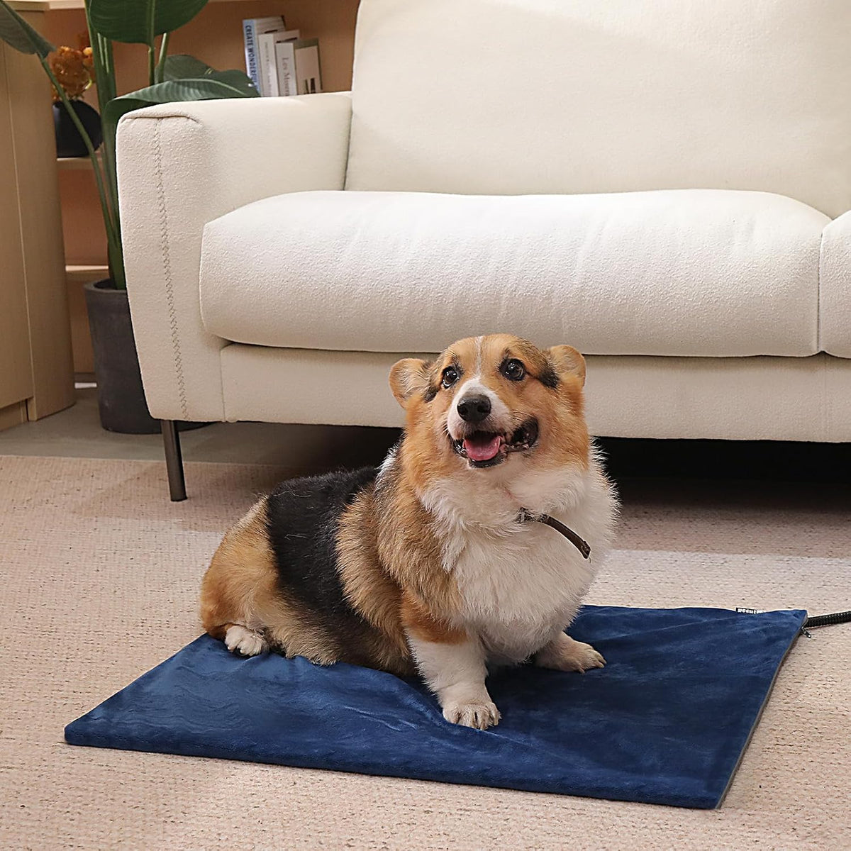 Pecute Pet Heating Pad with Chew Resistant Cord, Waterproof Layer
