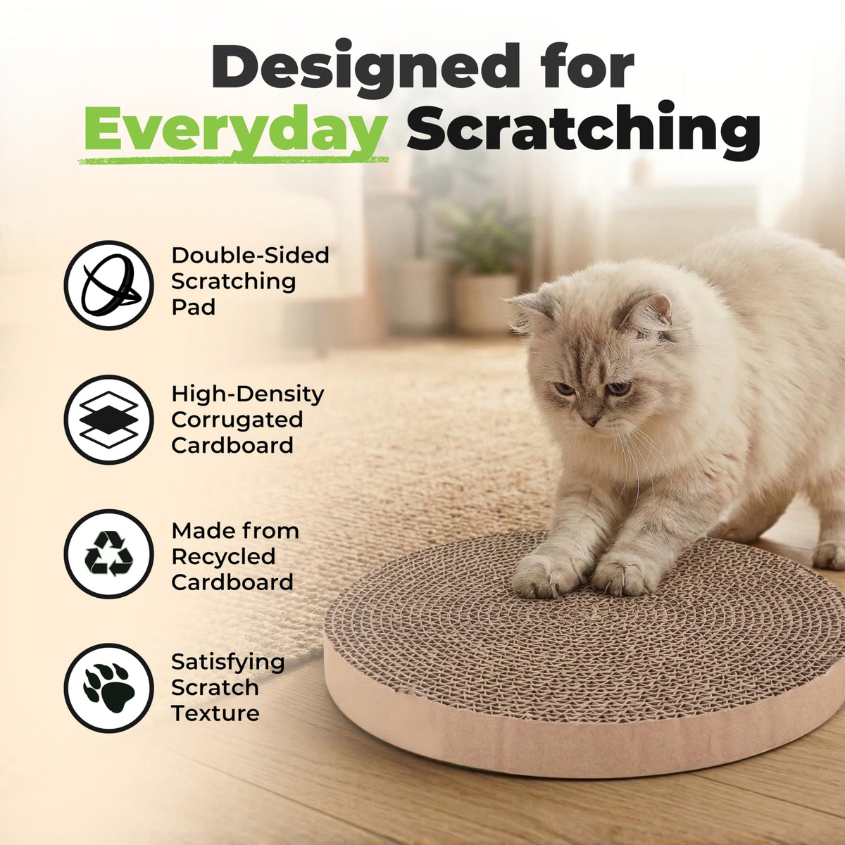 Catify Spin n' Scratch Cat Scratch Pad Refill - Round, 5-Pack