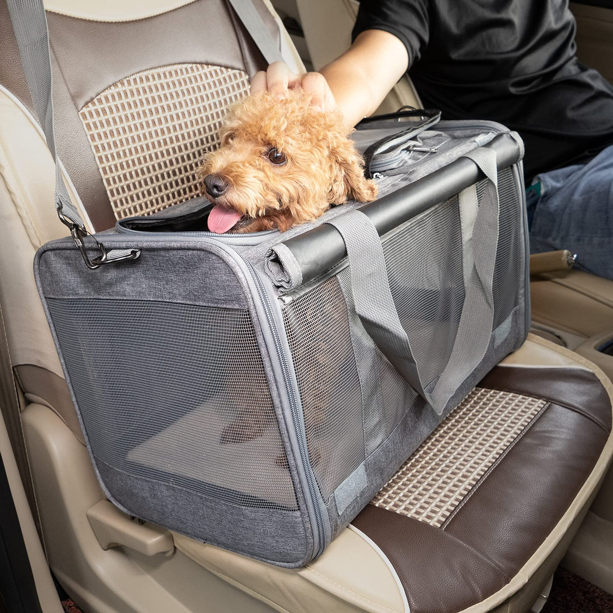 GAPZER Pet Carrier for Large Cats up to 20lbs Soft-Sided Privacy Protection
