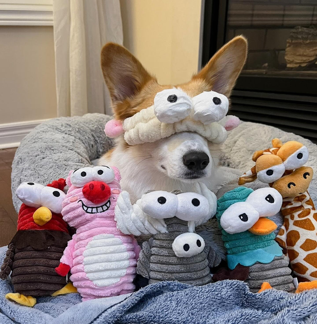 Nocciola 5-Pack Squeaky Dog Toys, Durable Stuffed Critter Zoo Dog Toys with Unique Squeak Sounds to Keep Dogs Busy, Pupp