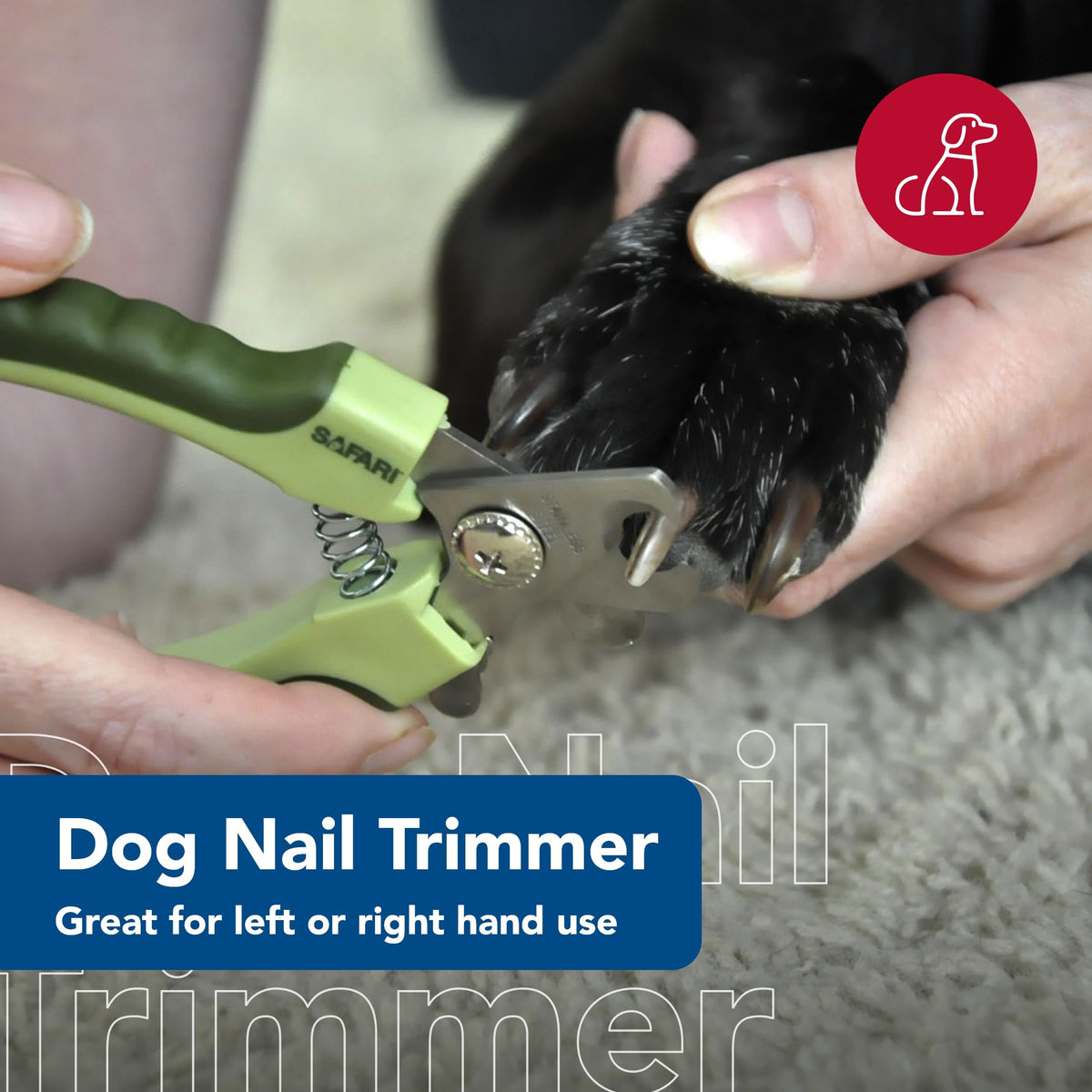 Coastal Pet Safari Professional Dog Nail Trimmer, Standard, 5" x 1.5"