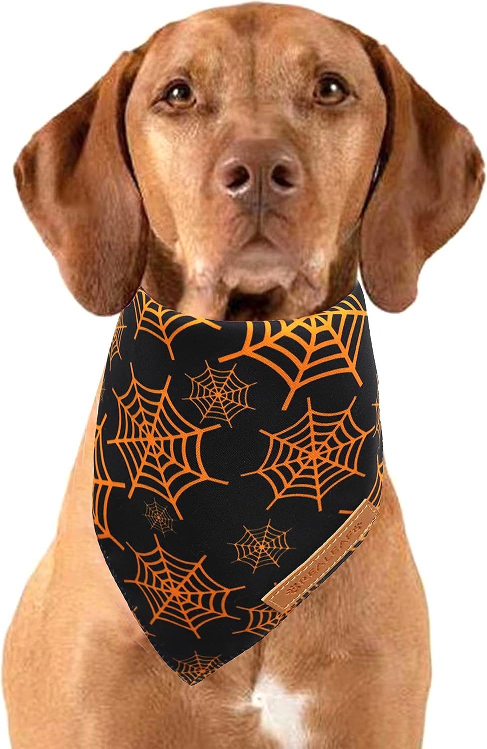 Halloween Dog Bandanas 2 Pack, Pumpkin and Spider Web Bibs, Triangle Reversible Fall Pet Scarf, Premium Durable Fabric, 