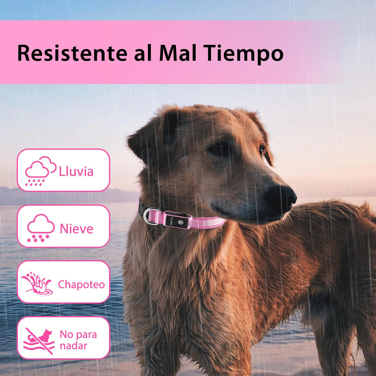 PcEoTllar Light up Dog Collar, Safe for Night Walking, Adjustable, Pink, M