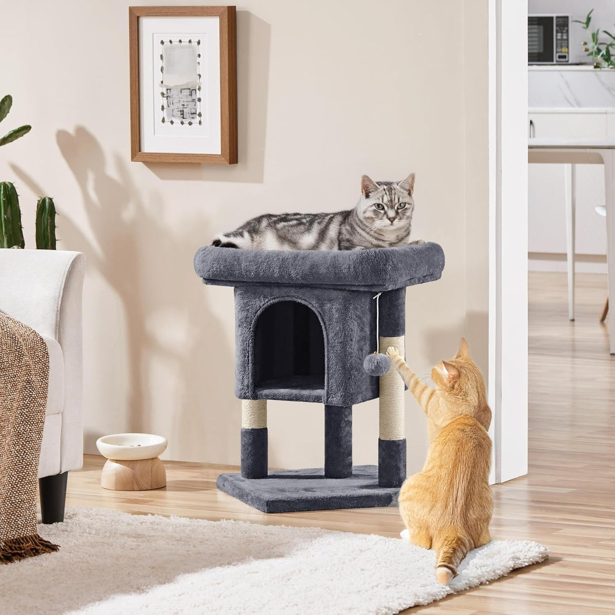 Yaheetech Small Cat Tree 23.5in for Kittens & Senior Cats, Low Profile Gray