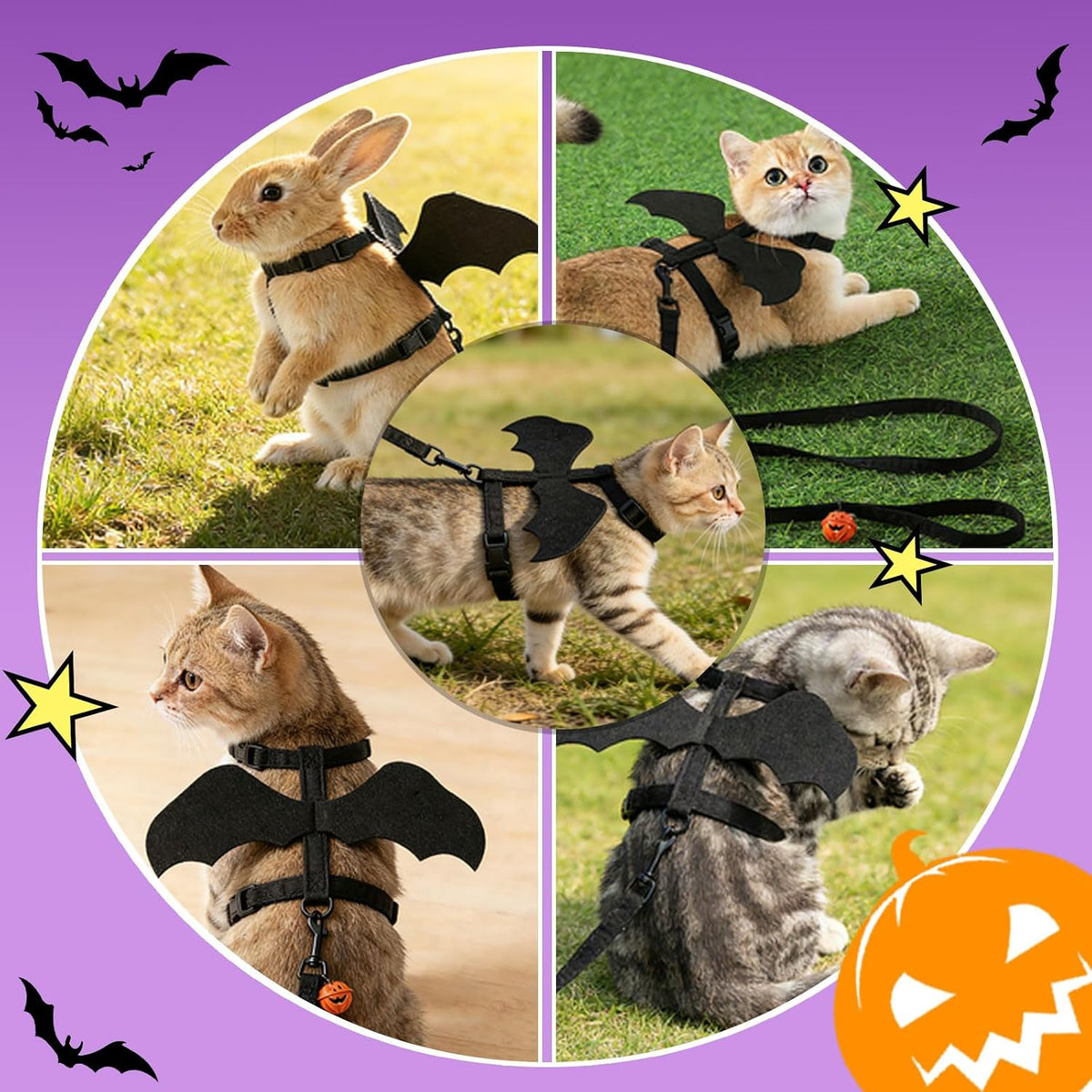 Cat Harness and Leash with Bat Wings, Escape Proof Leash (S)