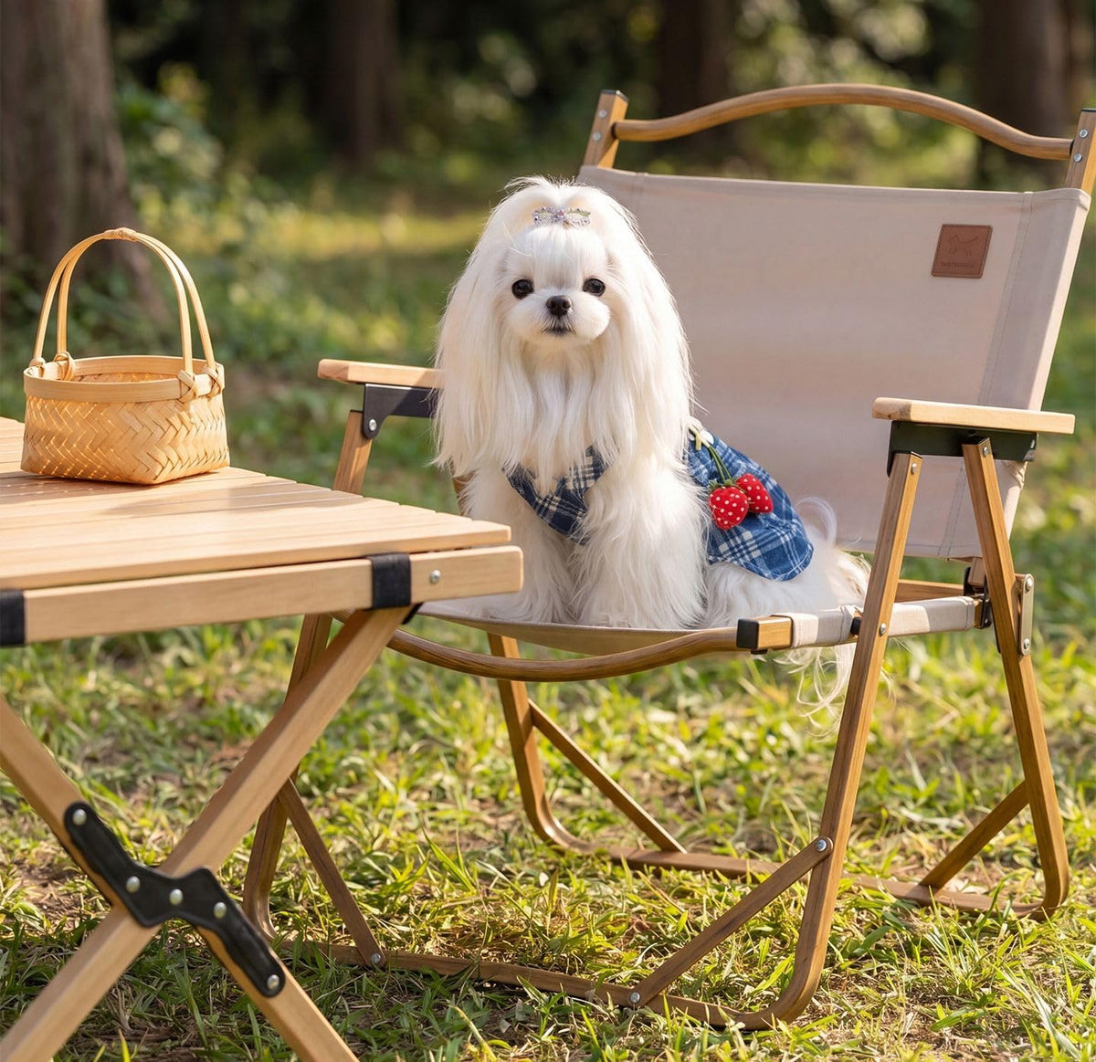Strawberry Denim Dog Dress with Leash Hole, Suspender Skirt for Small Dogs