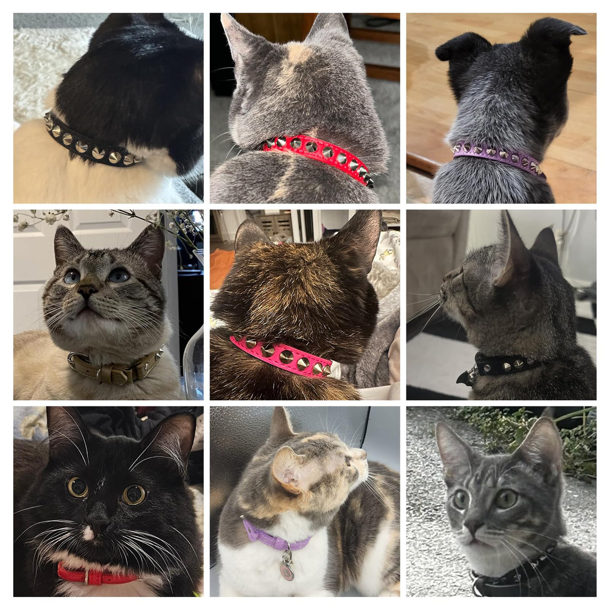 DILLYBUD Leather Cat Collar, Breakaway Kitten Collars with Bell, Black
