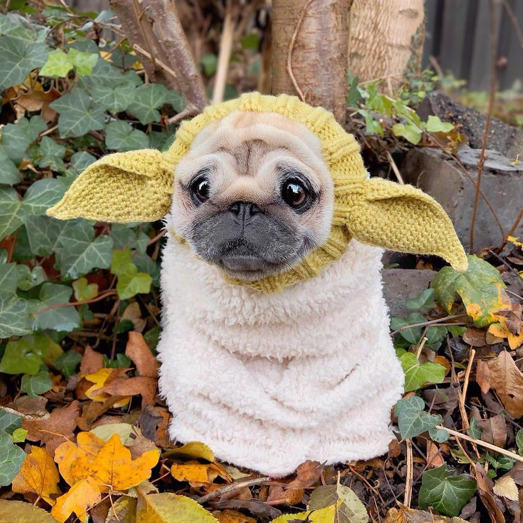 Baby Yoda Costume - Alien Dog Costume (Medium)