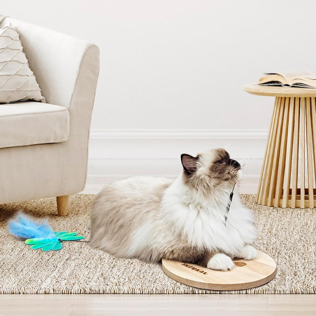 JXFUKAL Interactive cat Toy, Automatic Cat Wand Toy with Stable Wooden Base, 2 PCS Detachable Cat Teaser, 5PCS Refills R