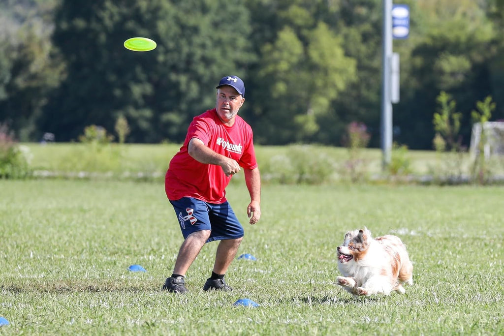 Hyperflite Pup Jawz Puncture Resistant Dog Flying Disc, Small Dogs