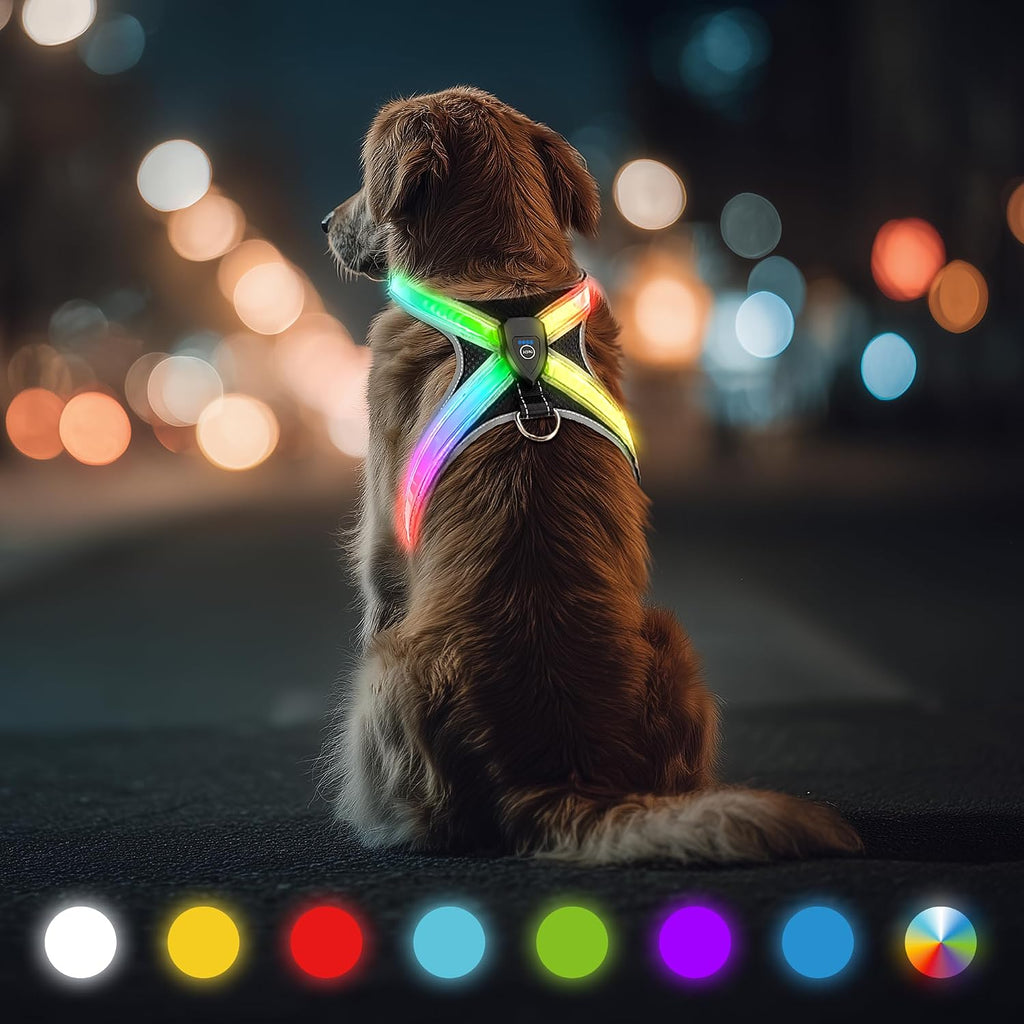 Multicolor Light Up Dog Harness, No Pull Led Vest for Night Walking (Small)