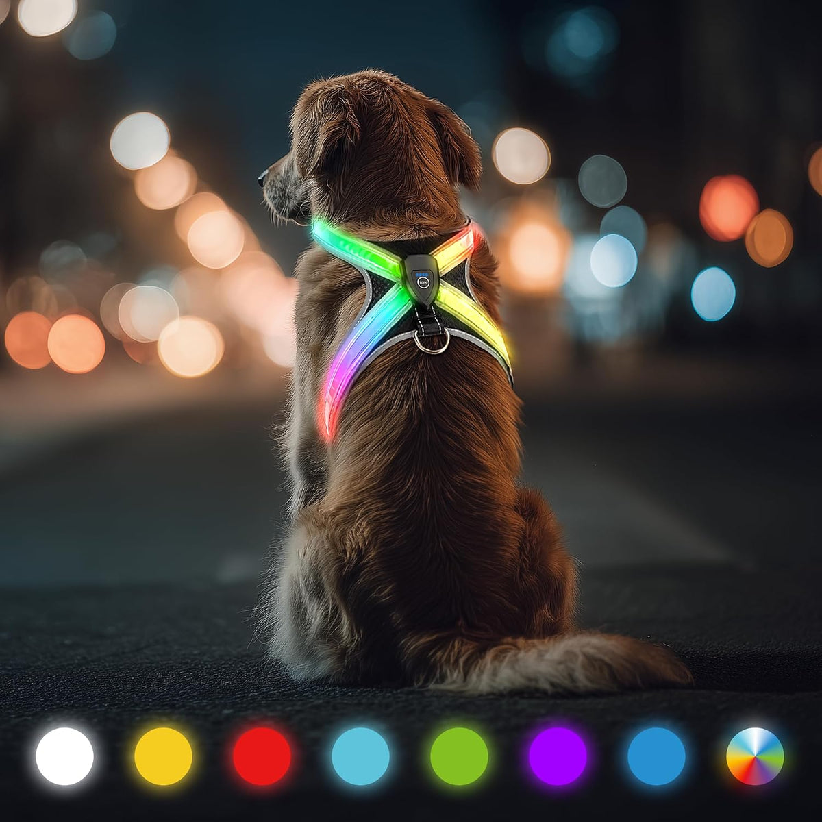Multicolor Light Up Dog Harness, No Pull Led Vest for Night Walking (Small)