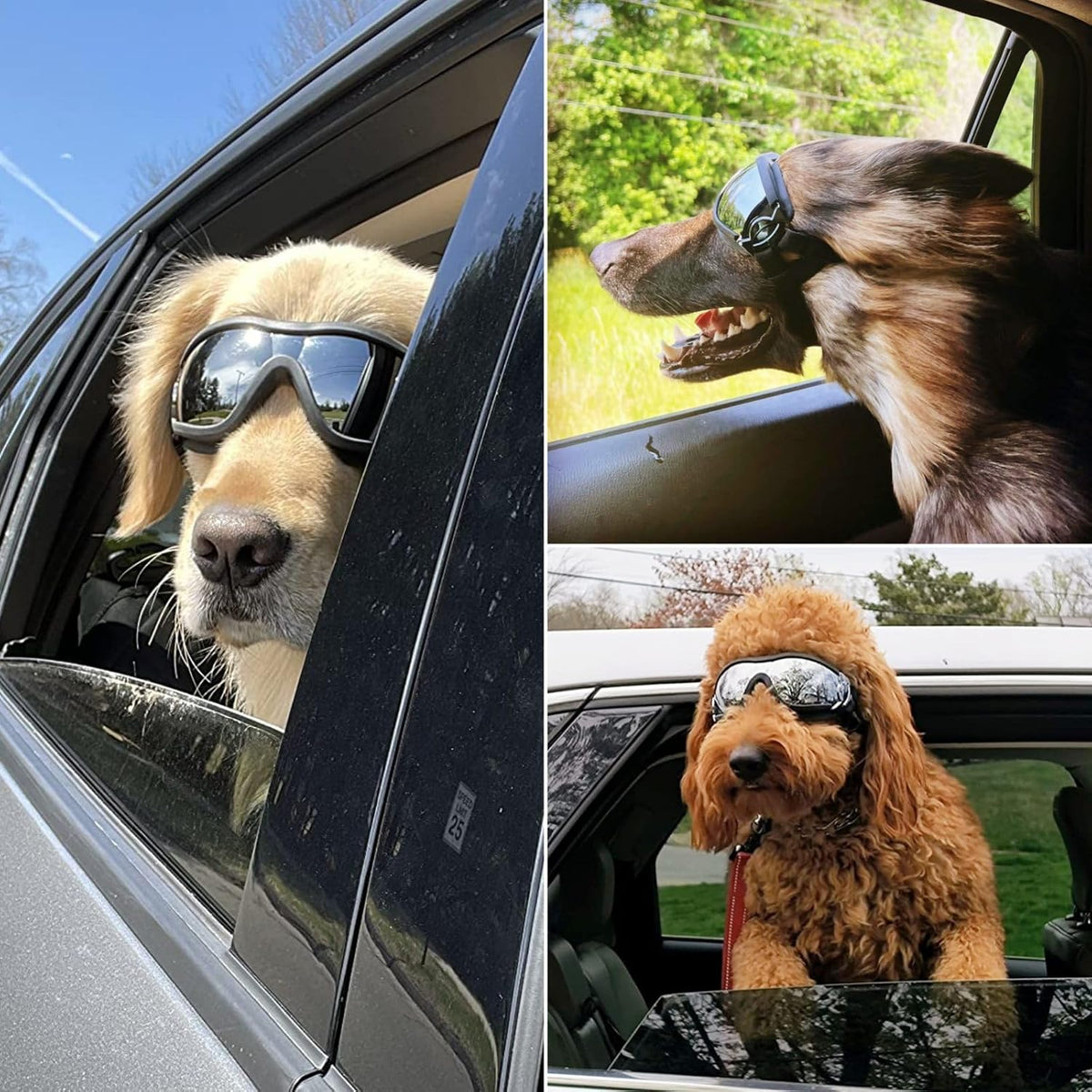 Large Dog Sunglasses Eye Protection, UV Protection Pet Goggles for Dogs Medium to Large Breed, Driving Glasses for Dogs 