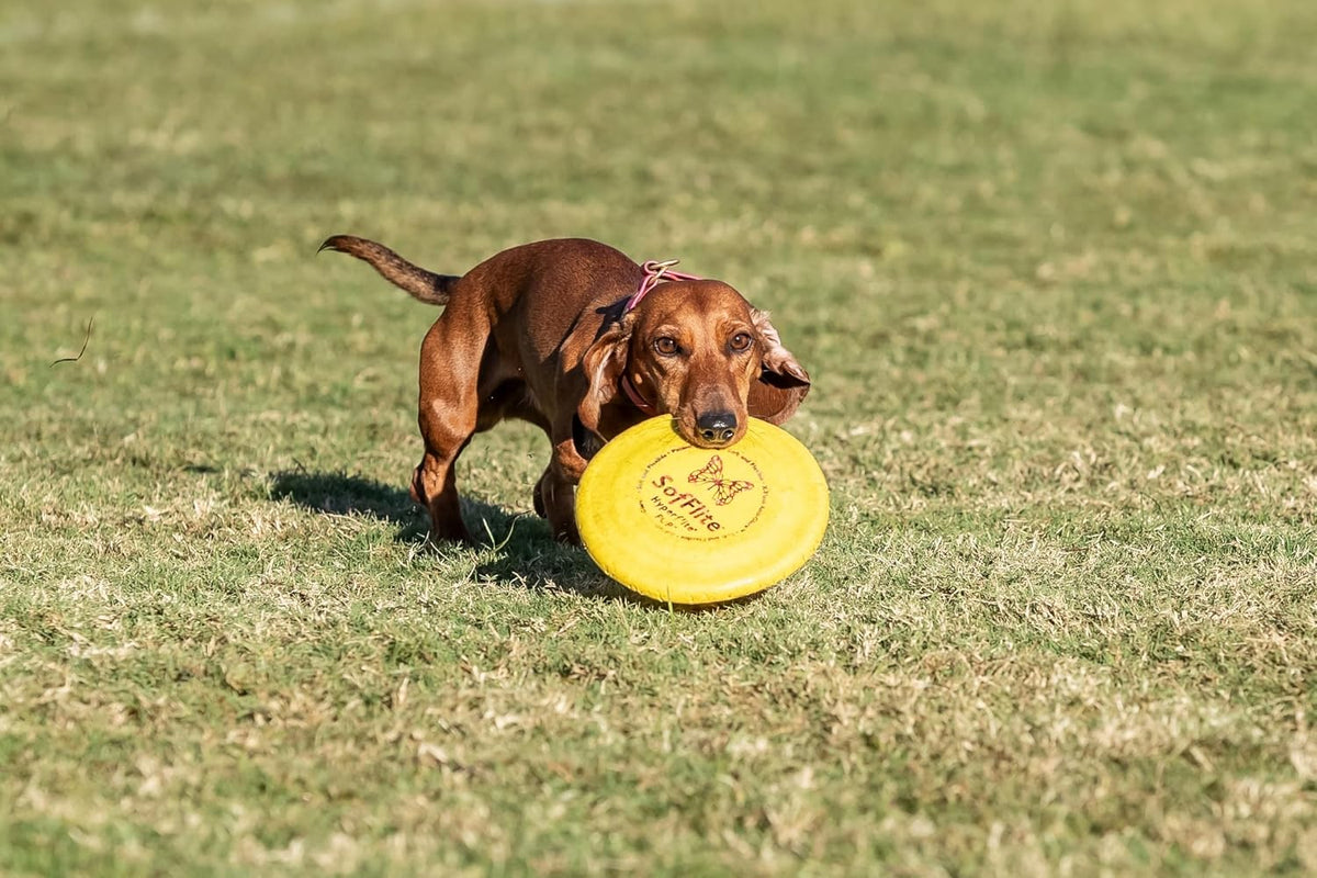 Hyperflite Pup SofFlite Soft Dog Flying Disc, 4 Pack, Small Dogs