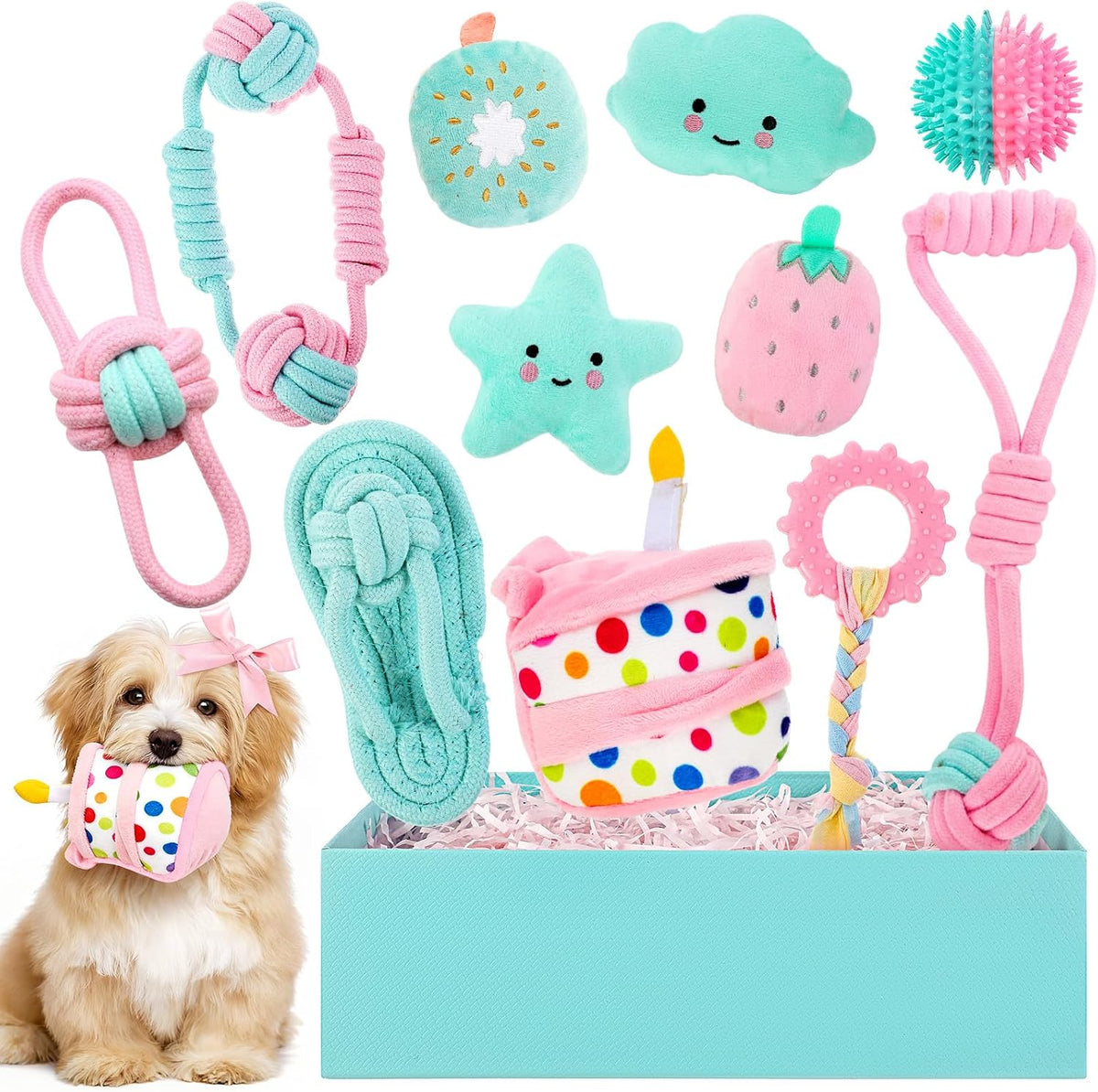 RoundFunny 19 Pcs Cat Toys Gift Box Cat Birthday Toys with Catnip & Wand