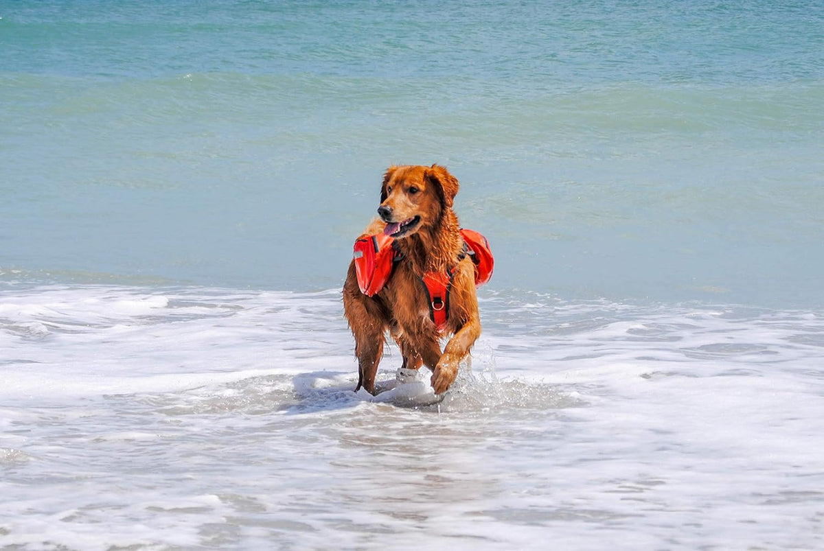 Bark Brite Multi-purpose Dog Backpack Life Jacket (Size Large)