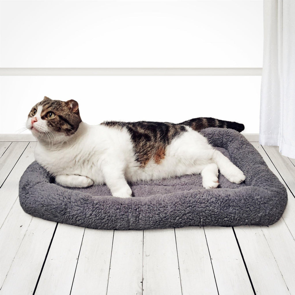 Enjoying Cat Mat Bed 16" x 22" Pet Bed with Pillow Around for Dogs Cats Curled Sleeping Beds for Carrier/Crate Small to 