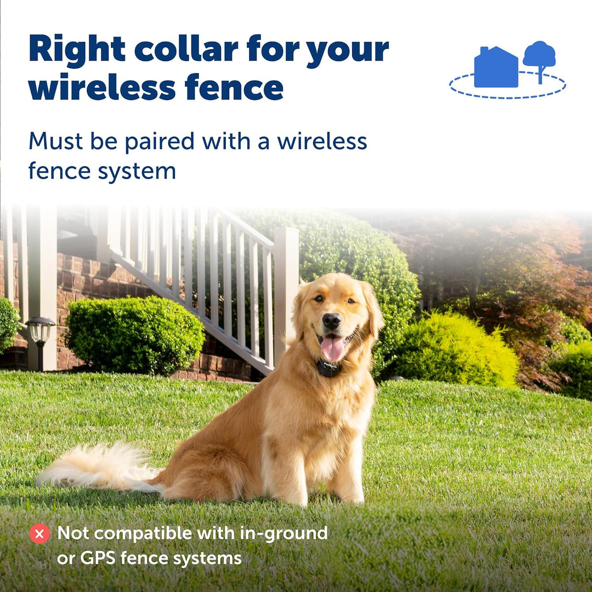 PetSafe Stay & Play Wireless Fence Rechargeable Collar