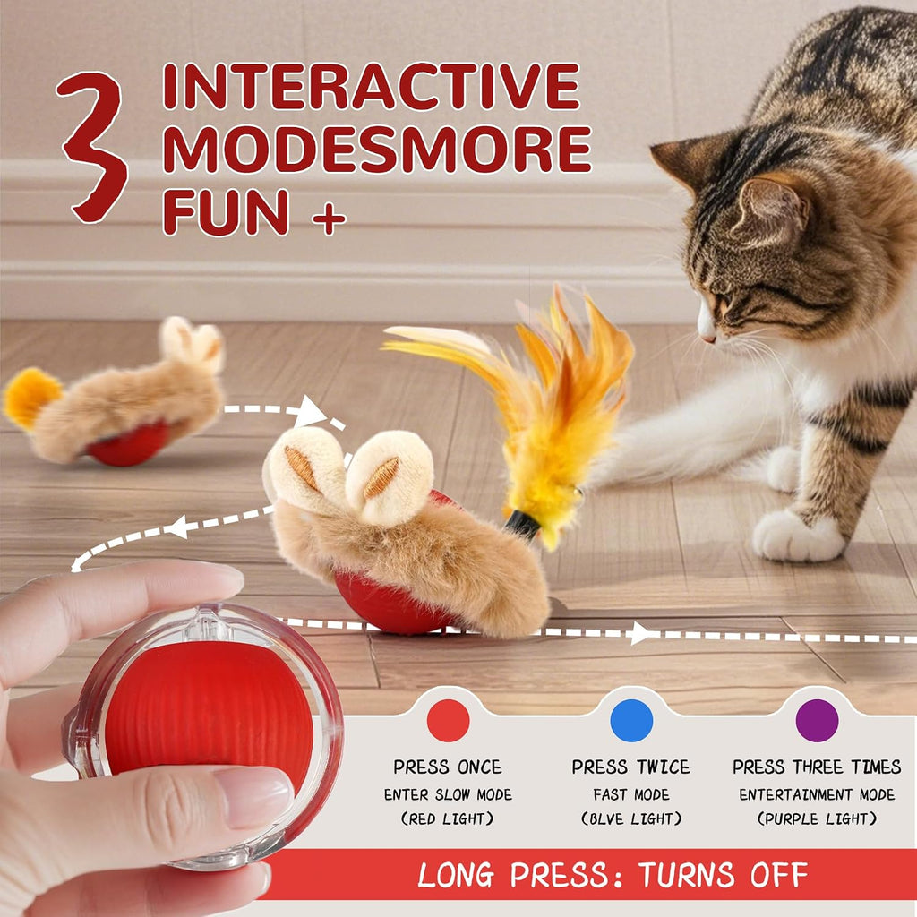 Interactive Cat Toy Ball, Self-Rolling Electric, USB Rechargeable