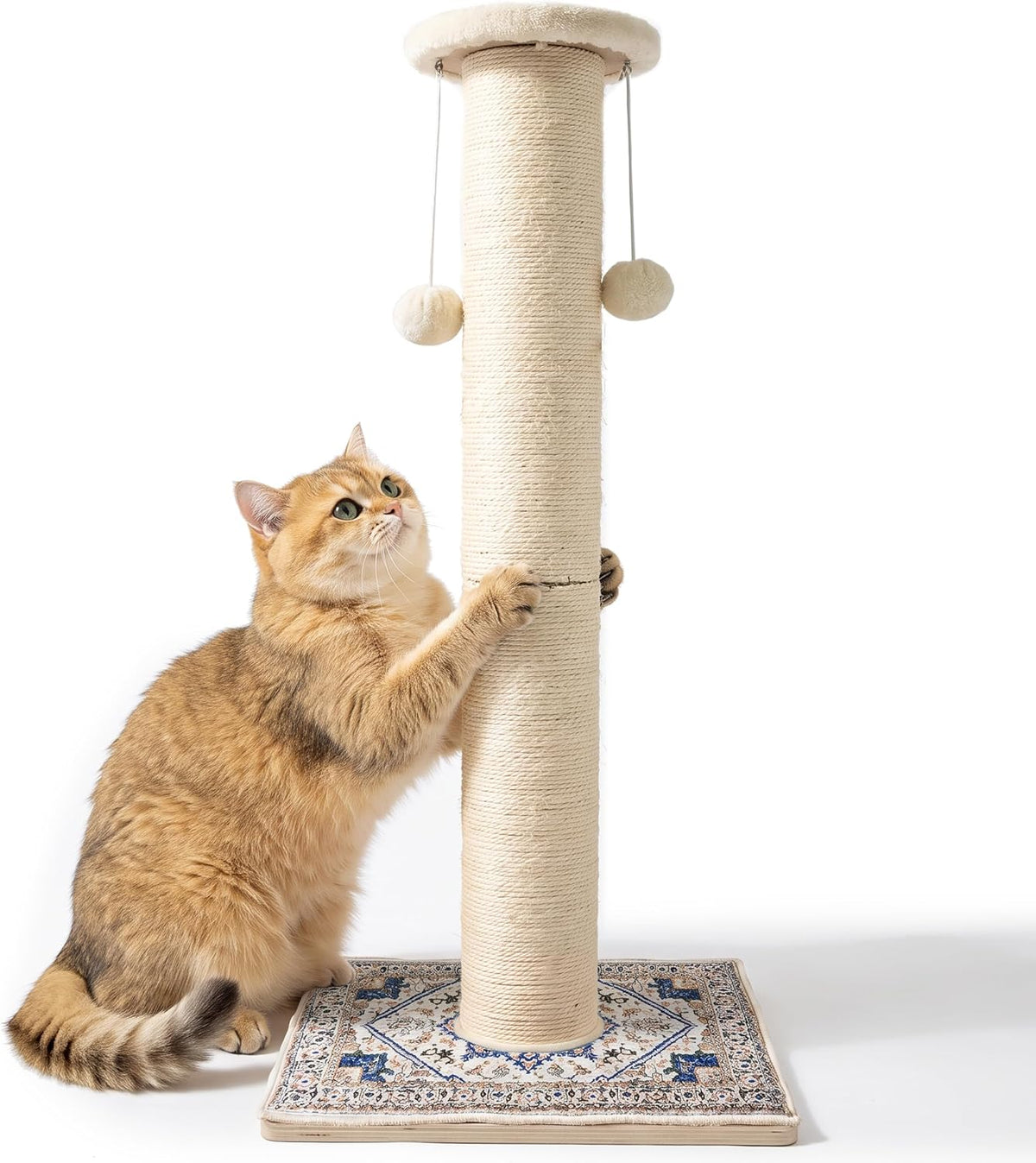 Tall Cat Scratching Post for Indoor Cats Adults with Carpet, White