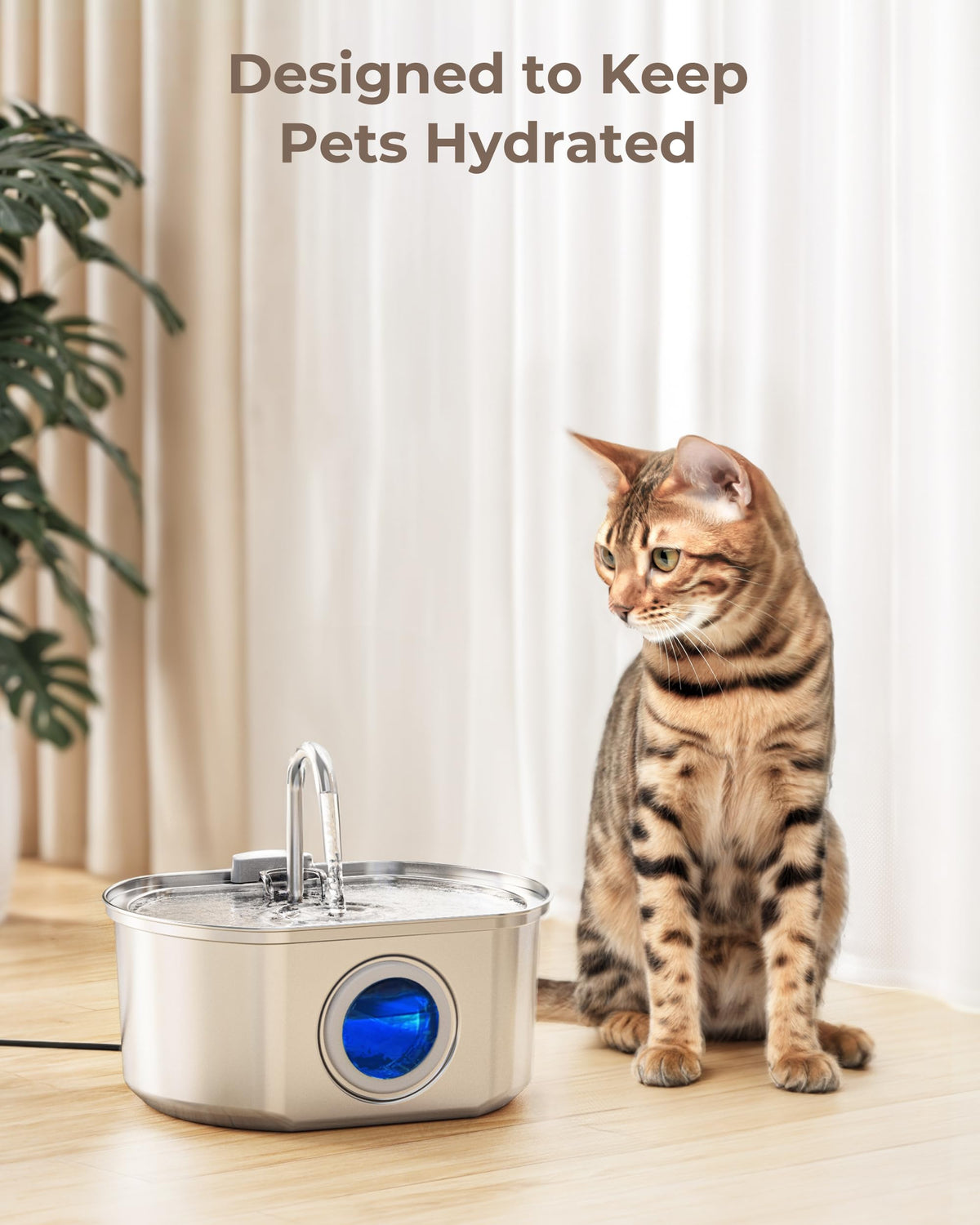Neareal Official 6-Pack Replacement Filter Set for 108oz Cat Fountain