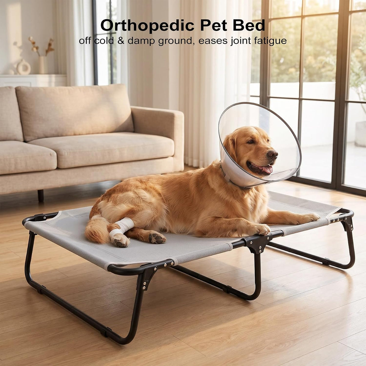 Foldable Elevated Dog Cot Bed, Raised Pet Beds for Large & Medium Dogs