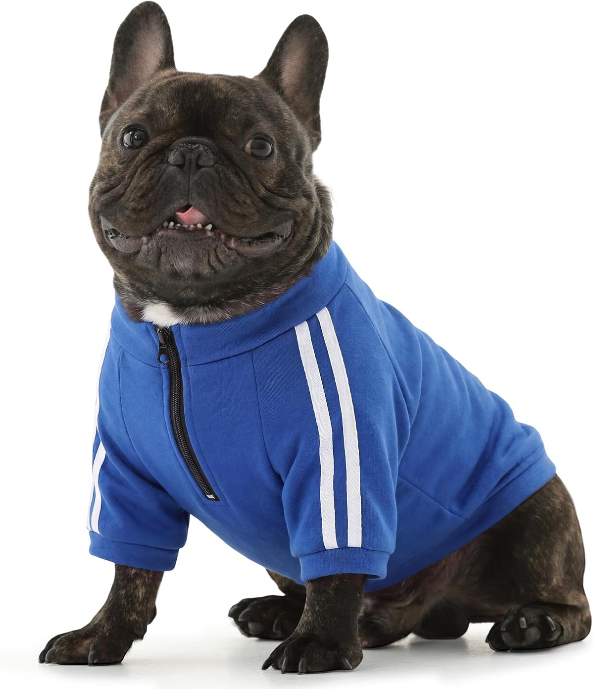 Bulldog Sweatshirt for Broad-Chested Dogs, Black, L