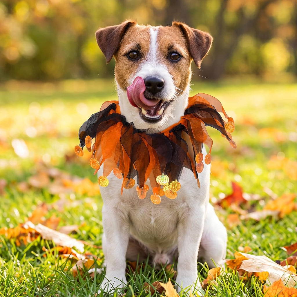 choyaxo Halloween Dog Tutu Collar