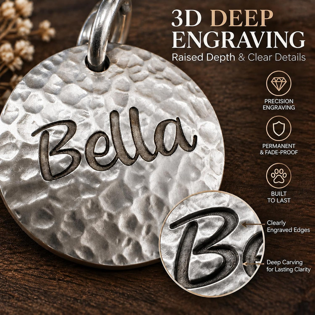 BONBOY Personalized Dog Tag, Engraved Pet ID Tag, Custom Dog Name Tag (Large, Brass)
