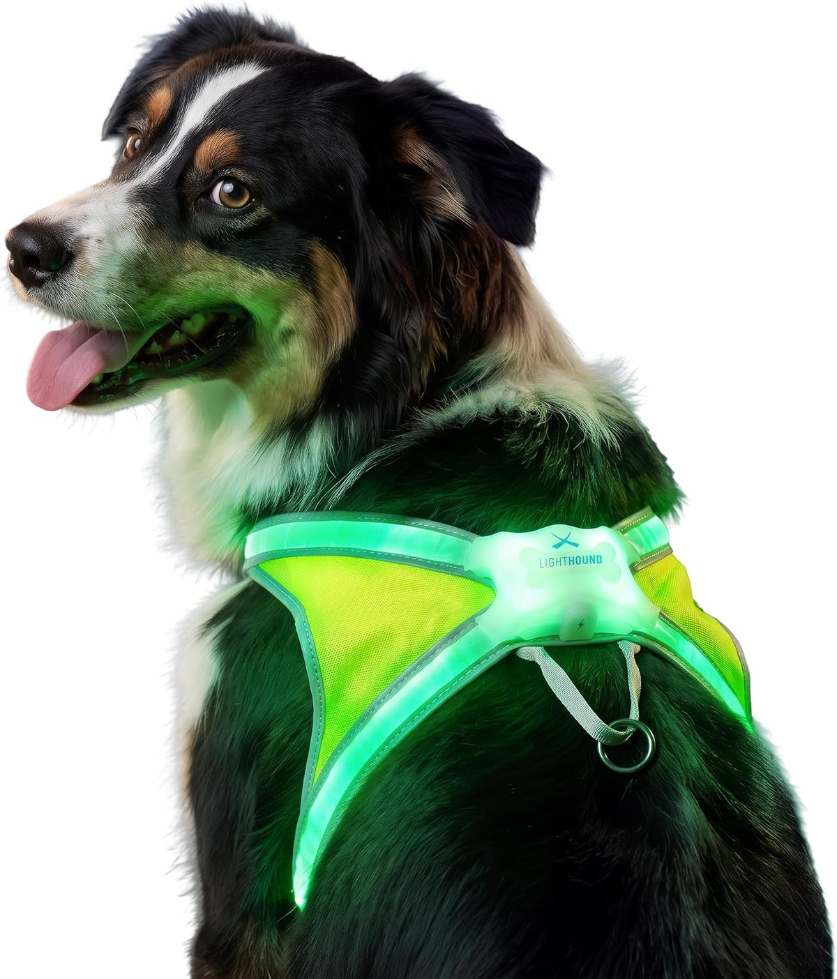 noxgear LightHound Light Up Reflective Dog Harness, Large