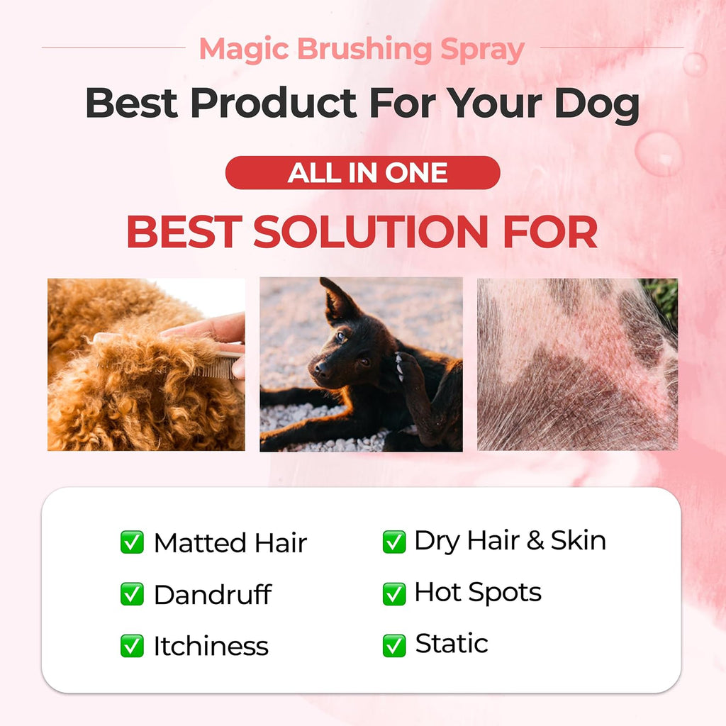 JAYU PET Magic Brushing Spray + Refill Bottle 1EA - Detangling and Deodorizing Spray for Dog & Cat