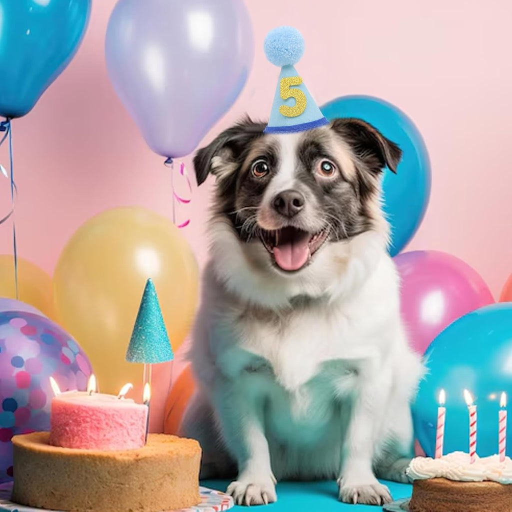 Pet Birthday Hat with Interchangeable Numbers 1-10 | Adjustable Pet Party Cone Hat for Dogs & Cats | Puppy Birthday Phot