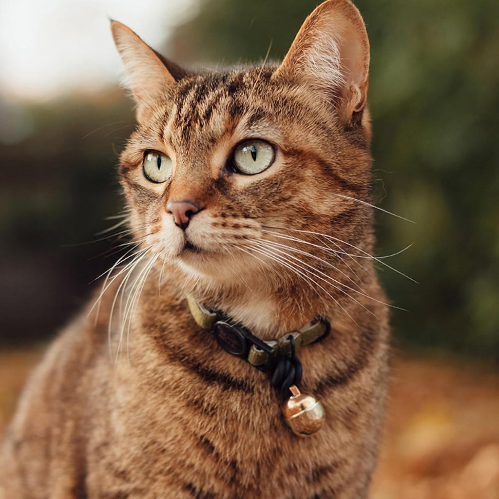 Beau's Bells V2 | Cat & Dog Collar Bells with New Quick Loop Easy Release Clip | Handmade Copper | Track Your Pet | Prot