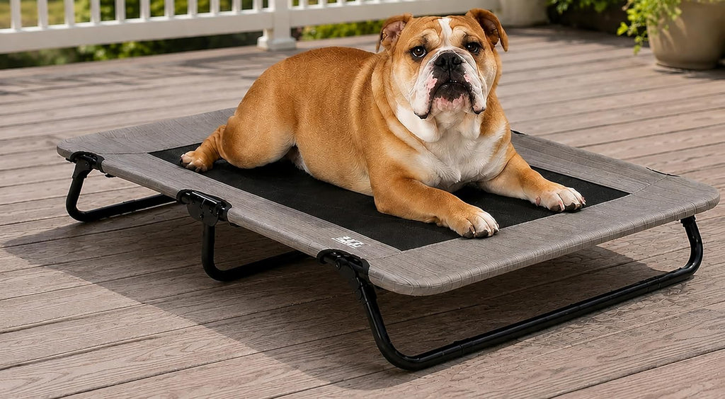 Pet Gear Lifestyle Pet Cot Elevated Bed, 30 Inch, Slate Blue