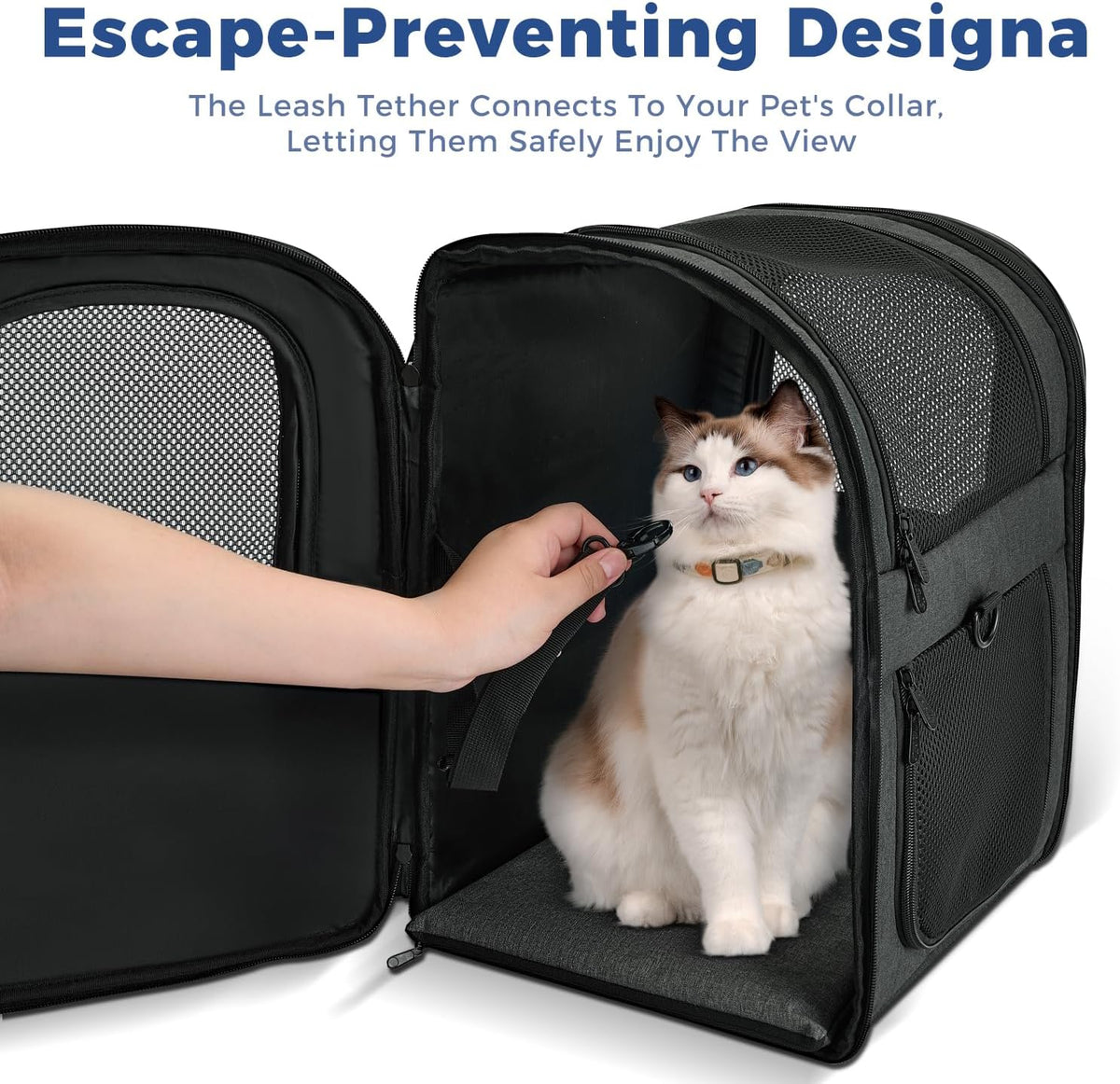 Apollo Walker Cat Backpack Carrier, Support Frame, 18 lb Weight Capacity