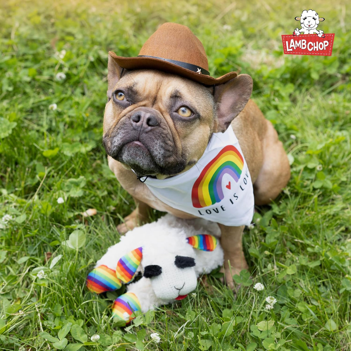 Multipet Lamb Chop Dog Plush Toy with Birthday Hat - Squeaky Dog Toy