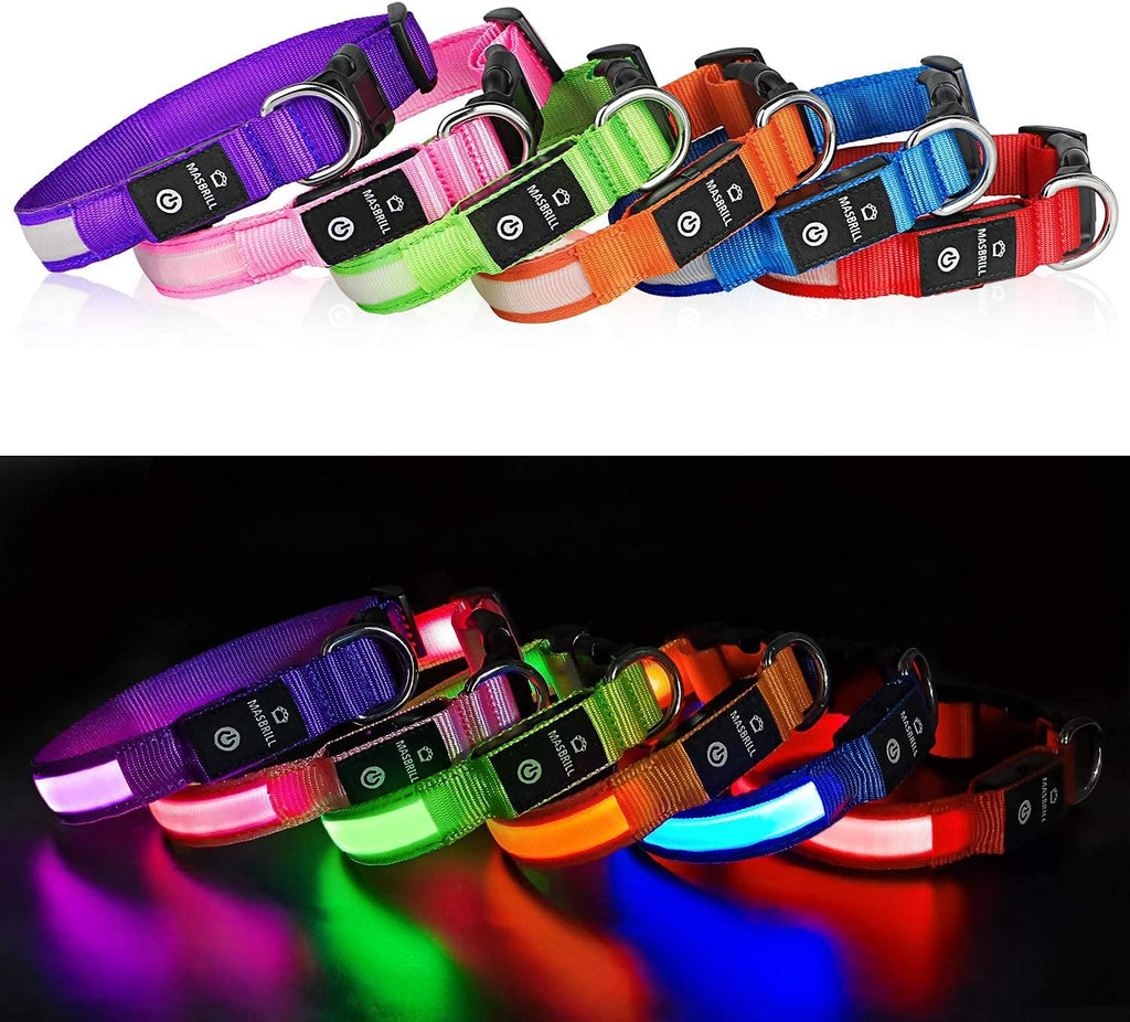 Light Up DogCollars-Rechargeable LED Dog Collar-Waterproof Night Walking Glowing Dog Collar for Small Medium Large Dogs