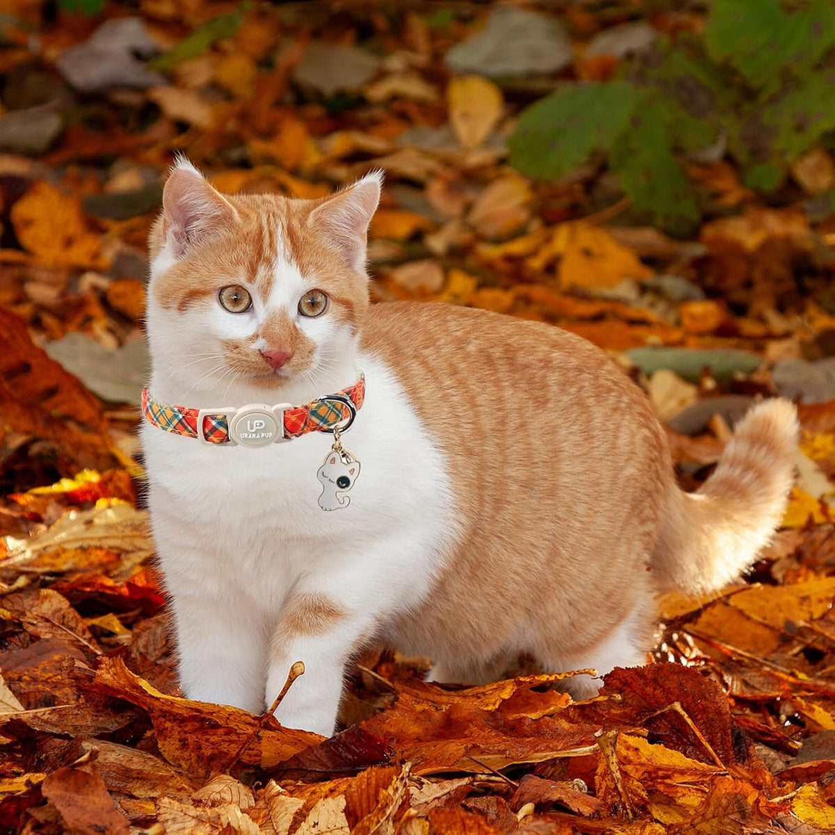 Cat Collar-2Pack Autumn Orange Plaid Kitten Collars-Halloween Plaid Breakaway Kitty Collars-Cute Kitty Pendants,Yellow O